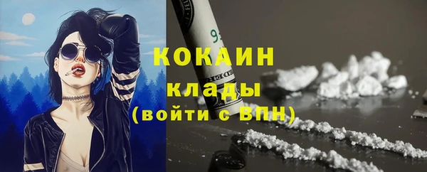 мдпв Волоколамск