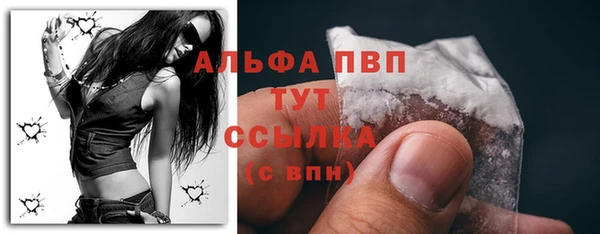 PSILOCYBIN Вязьма