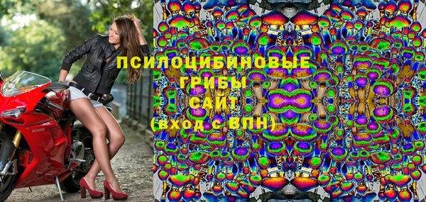 PSILOCYBIN Вязьма