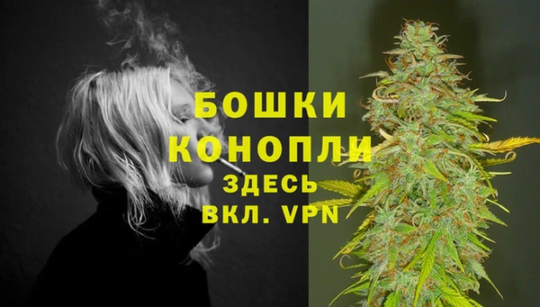 PSILOCYBIN Вязьма