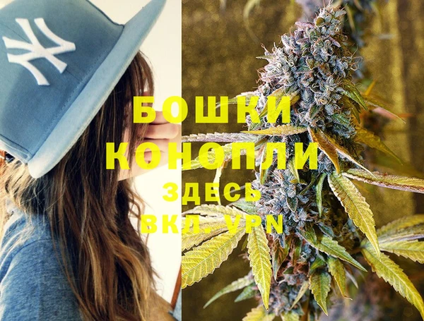 PSILOCYBIN Вязьма