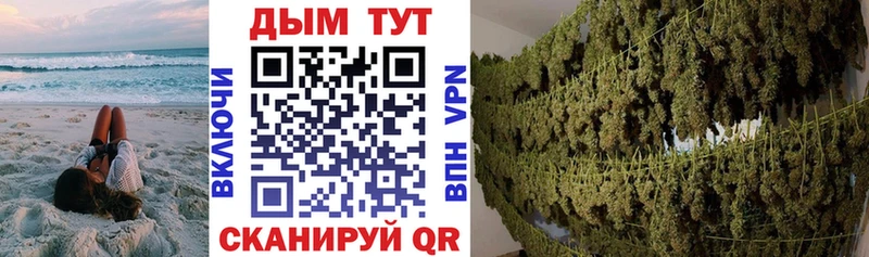 Купить  Барабинск  Бошки марихуана SATIVA & INDICA 